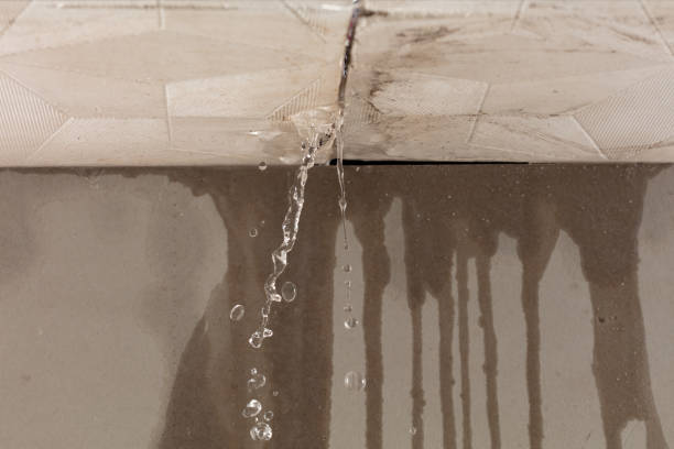 Professional Water Damage Inspection technician working in Corpus Christi, TX